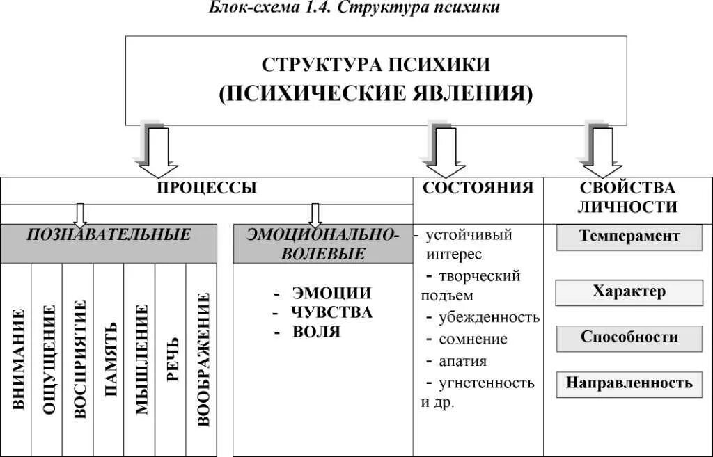 Функция психической организации. Структура психики человека схема. Структура психики человека таблица. Составляющие структуры психики. Структура психики в психологии схема.