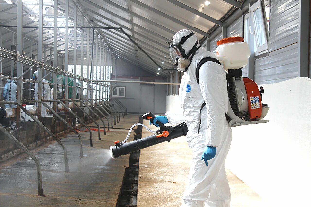 Оборудование для дезинфекции животноводческих помещений. Дезинфекция в животноводстве. Санитарная обработка животных. Аэрозольная дезинфекция в животноводстве. Дезинфекция животноводческих помещений.