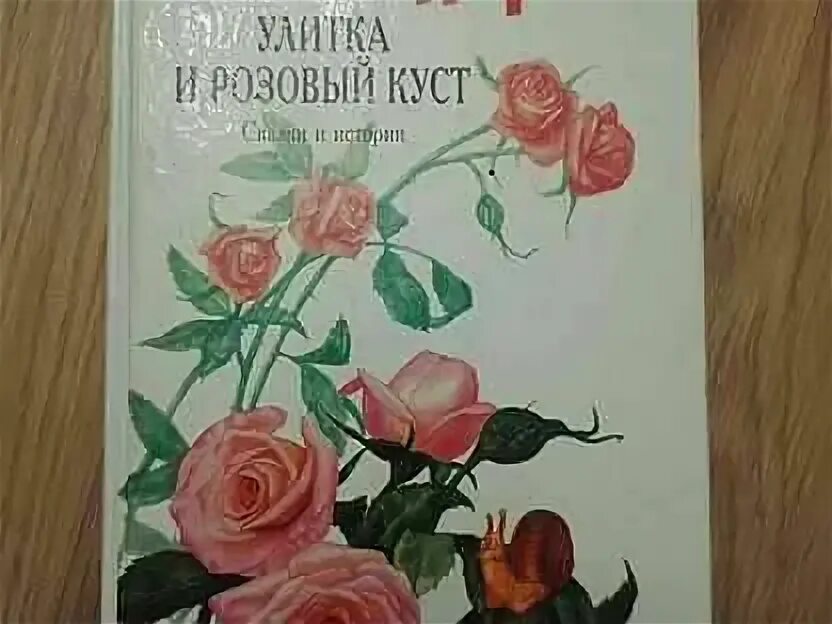 Андерсен улитка и розовый куст. Розовый куст и улитка г.х.андерсен. г. х.андерсон ,, улитка и розовый куст. андерсен улитка и розовый куст книга. андресон улитка и розовый куст.