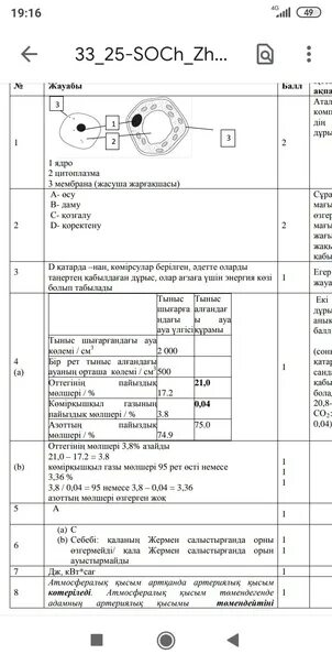 9 сынып тжб 3 тоқсан физика. Математика 5 класс бжб2 3токсан. 6б синф жаратылыс тану БЖБ ТЖБ 3 токсан энергия туралы.