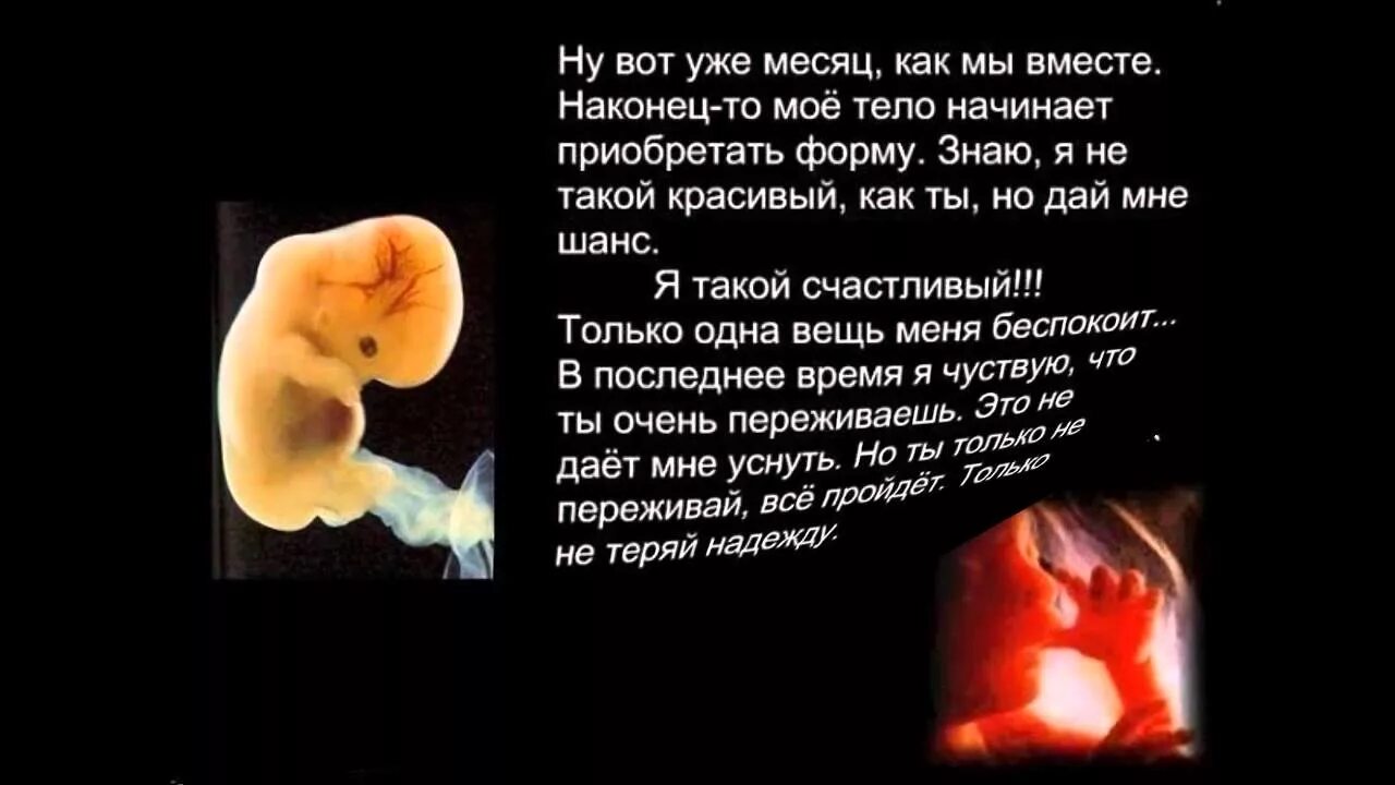 Притча младенцев в утробе