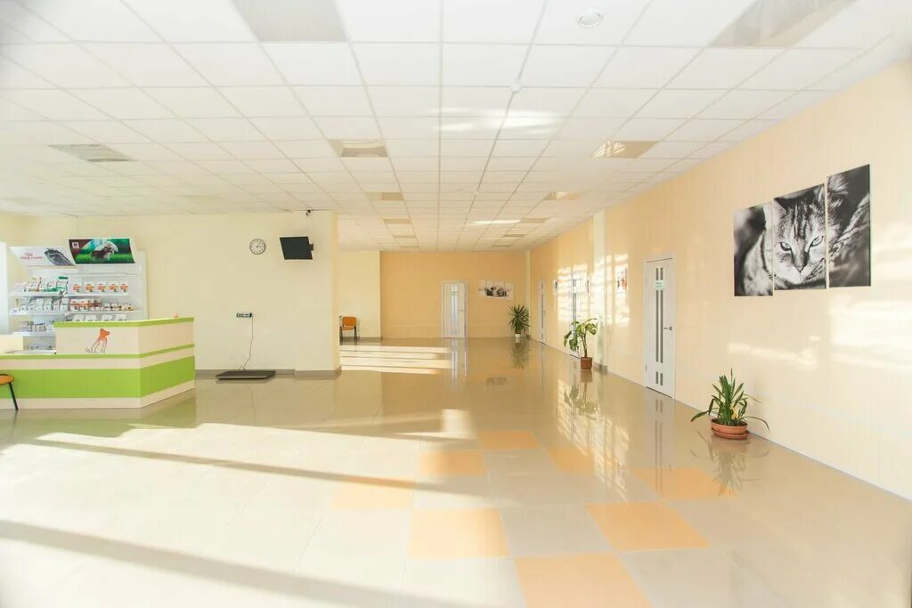 клиника 1 обнинск. омулевского 22 ветеринарная клиника. калужская область обнинск железнодорожная улица 1а добровет. добровет обнинск. калужская область обнинск железнодорожная улица 1а добровет.