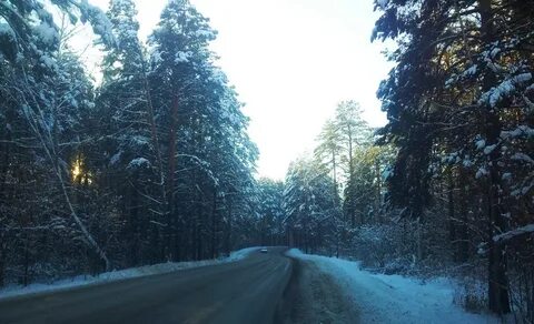 Погода кольцово новосибирская область на 3 дня