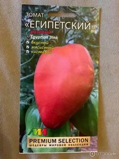 Томат египетский описание