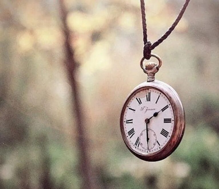 Время жизнь ели. Время все лечит. цитаты про время. статусы про время. статусы время лечит.