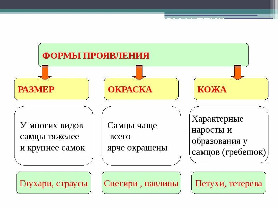 Размножение и развитие птиц 7 класс биология. Типы развития птиц таблица. Размножение и развитие птиц 7 класс таблица. Презентация по размножение и развитие птиц 7 класс. Проявить объем