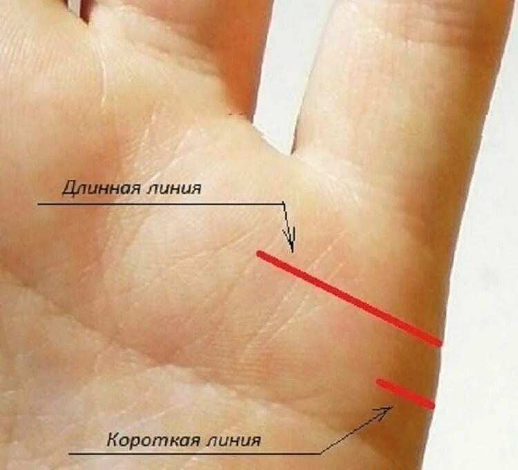 Дети на руке хиромантия. Линия брака. Расшифровка сколько будет детей. Хиромантия линия детей. Где на руке линия детей.