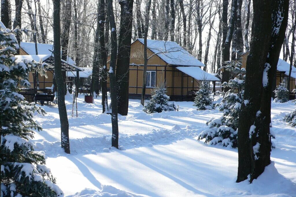 Турбазы зимой воронеж. Турбаза хуторок саратов. Турбаза ласточка новоусманский район. Турбазы зимой воронеж. Турбаза дивноречье рамонский район воронежская область.