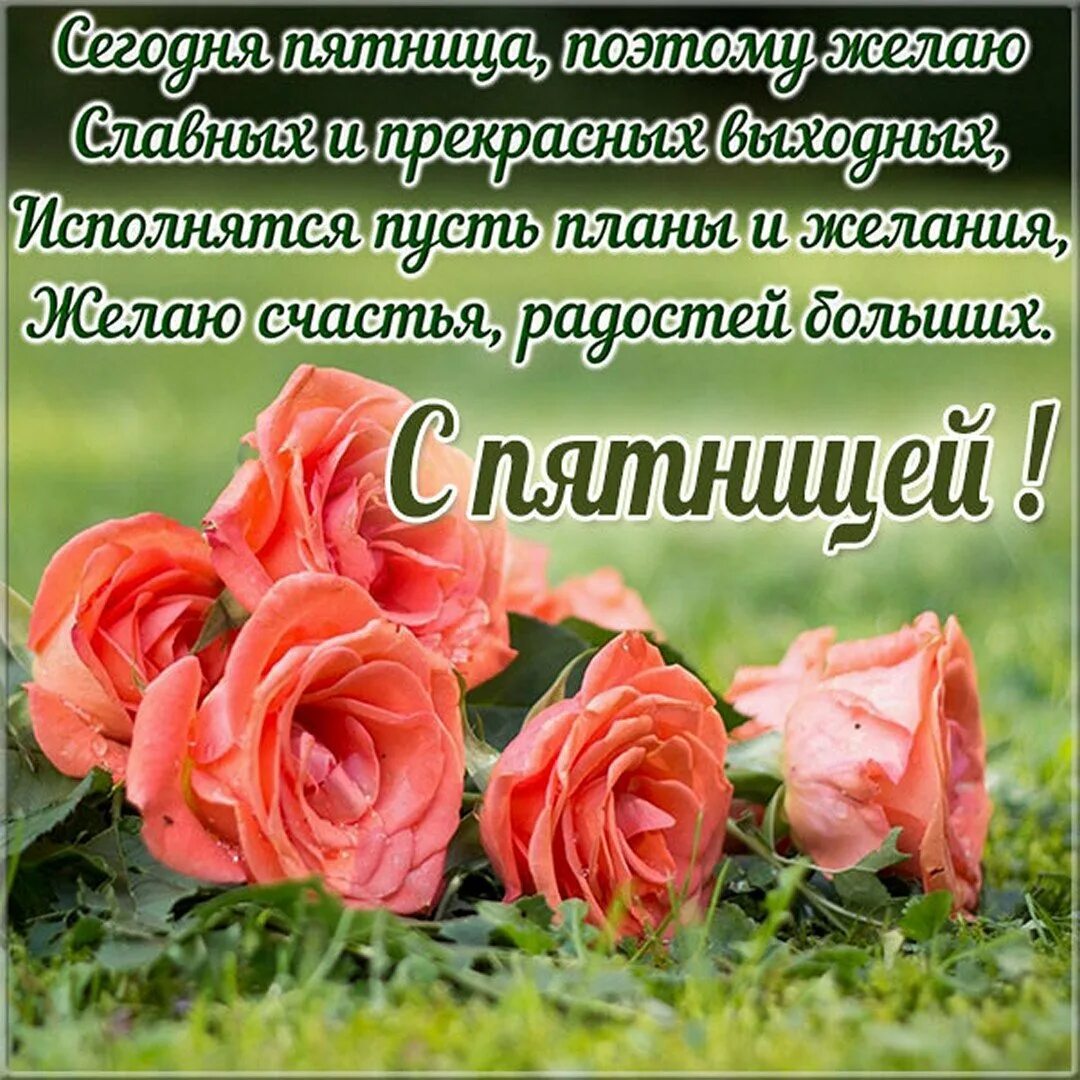Доброго дня и хороших выходных пожелания. Открытки на каждый день. с добрым утром пятницы пожелание. хорошие пожелания. прекрасных выходных и отличного настроения.