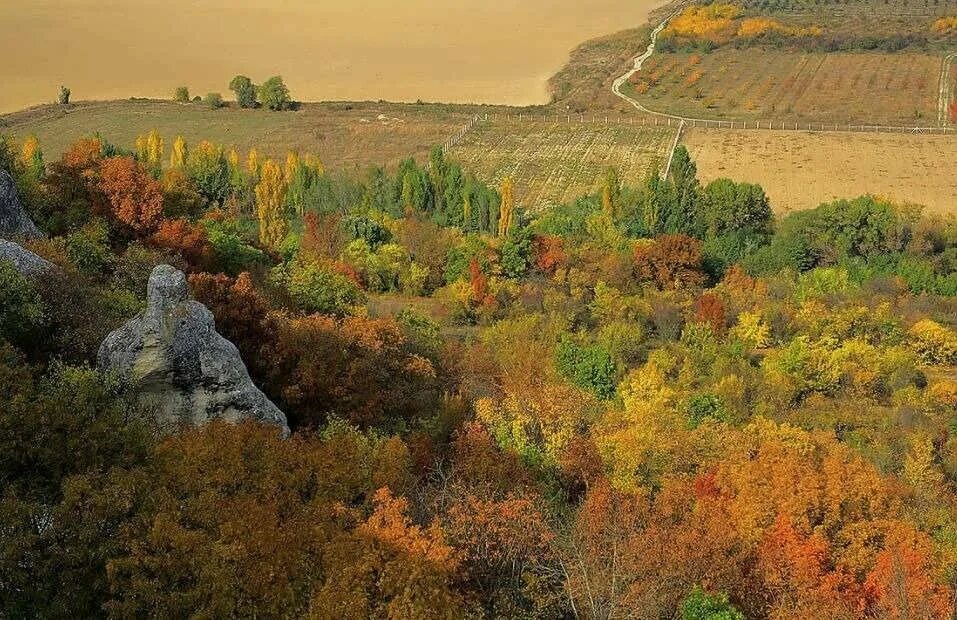 Крымская осень описание