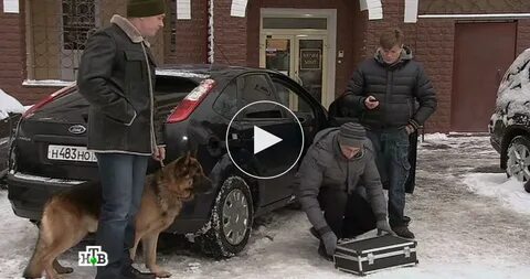 Мухтар новый след роли
