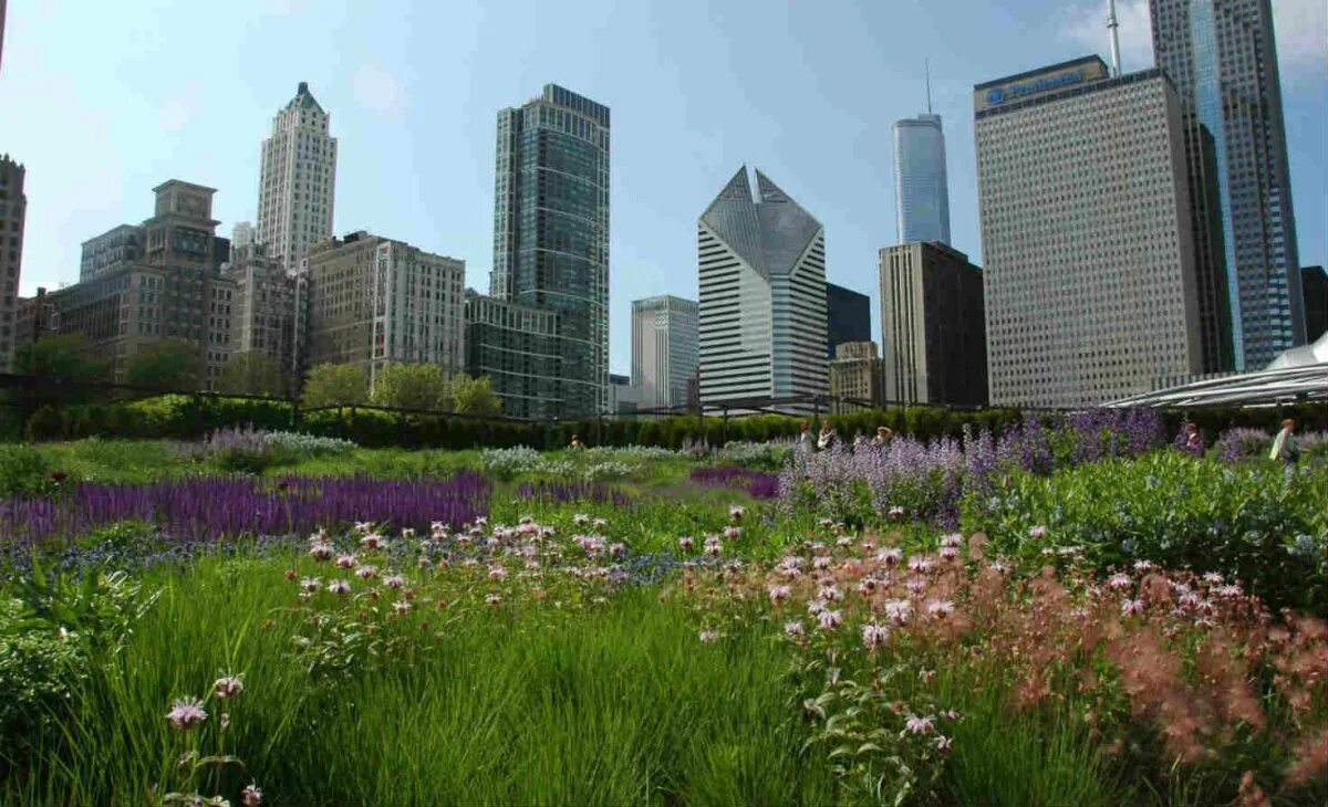 Green city зеленый город. Санаторий зелёный городок логотип. Зеленый город. Экология вектор. Система управления отходами.