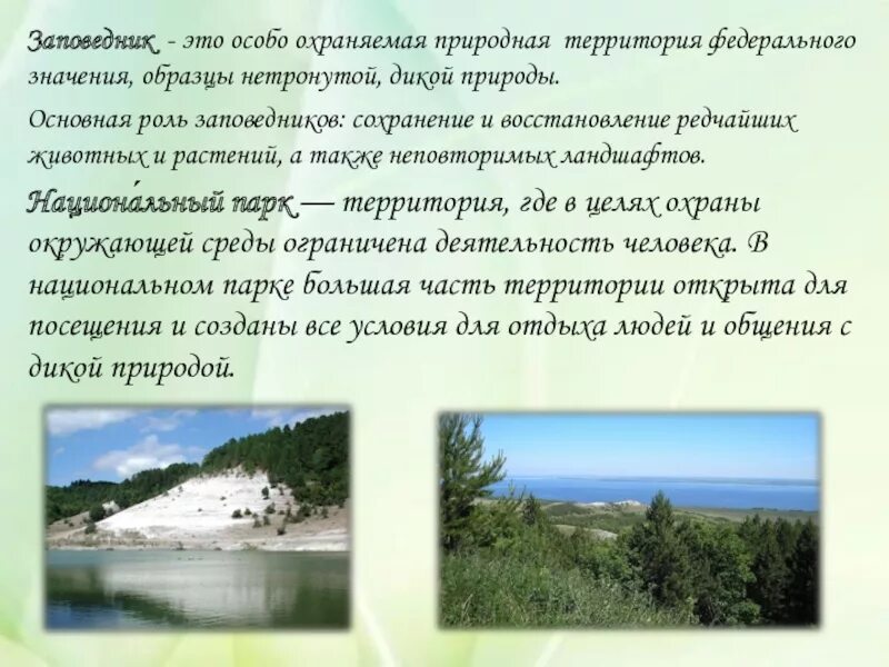 Национальный парк Саратовской области. Хвалынский заповедник Саратовской области. Заповедники и заказники Саратовской области. Заповедники сартовскойобласти.