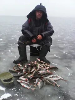 Рыбинск ваш