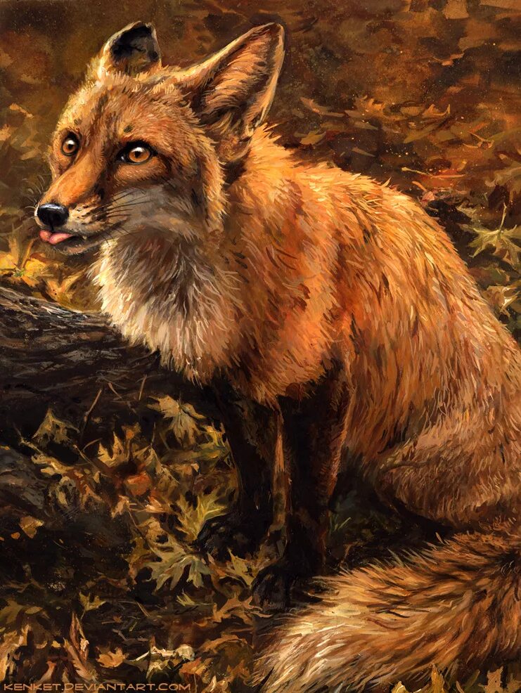 Лисица арт. Kenket fox. лиса арты. красивая лиса арт.