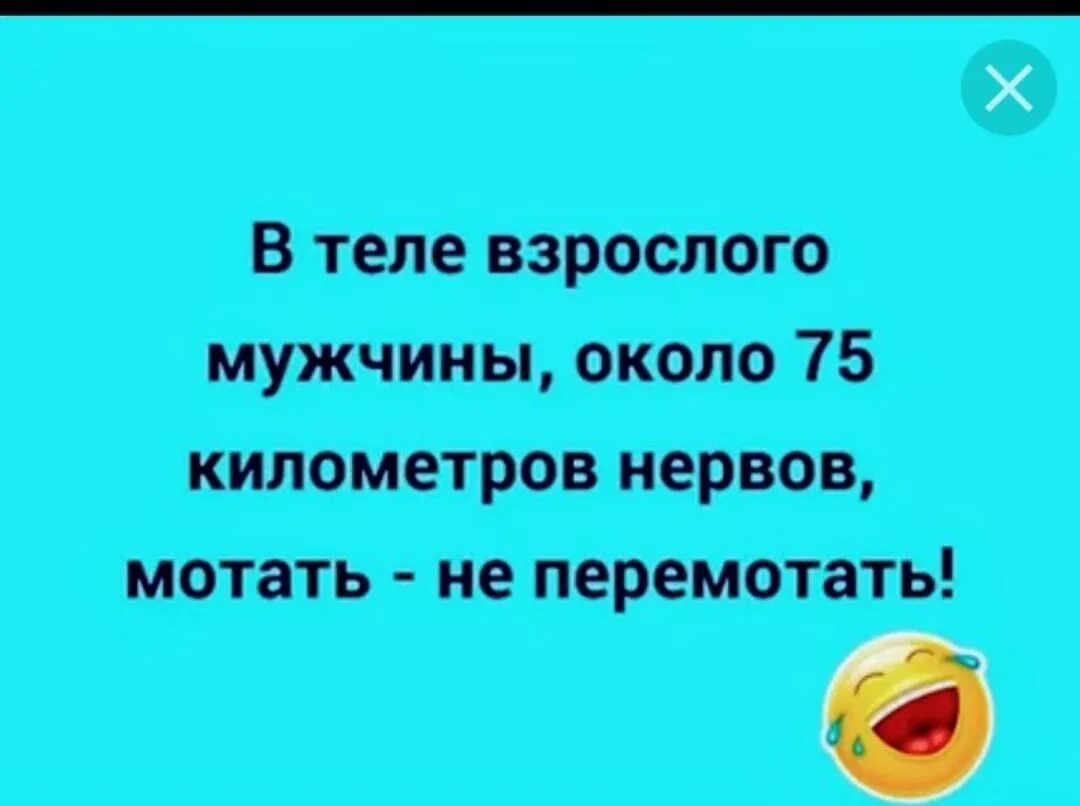 А пока мотает жизнь. В теле взрослого мужчины 75 километров нервов мотать не перемотать. У мужчин нервов 75 км мотать не перемотать. В теле взрослого мужчины 75 километров нервов. Мотать нервы.