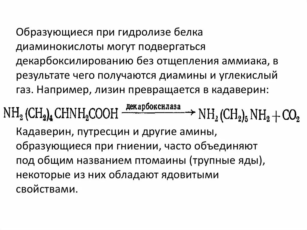 Какие вещества образуются при гидролизе белков. При гидролизе белков образуются. Вещества образующиеся при гидролизе белков. При гидролизе белка образуются. Белки образующиеся соединения