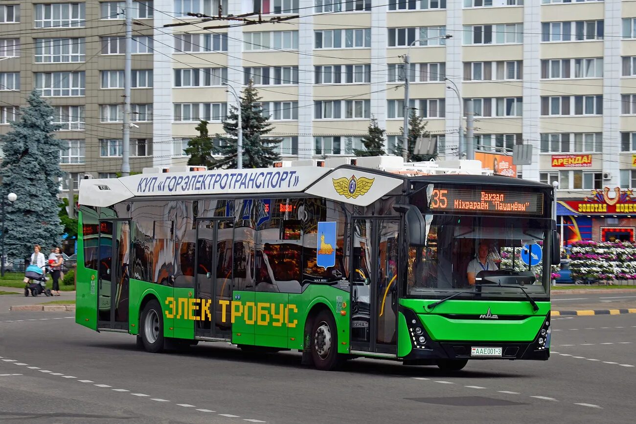 Мазы гомеля
