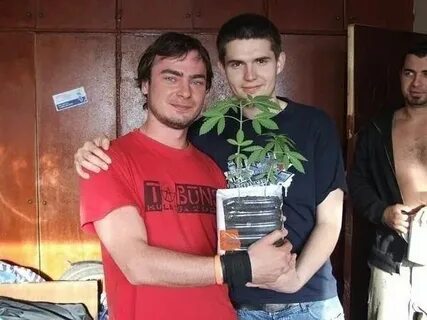 Жена нойза мс