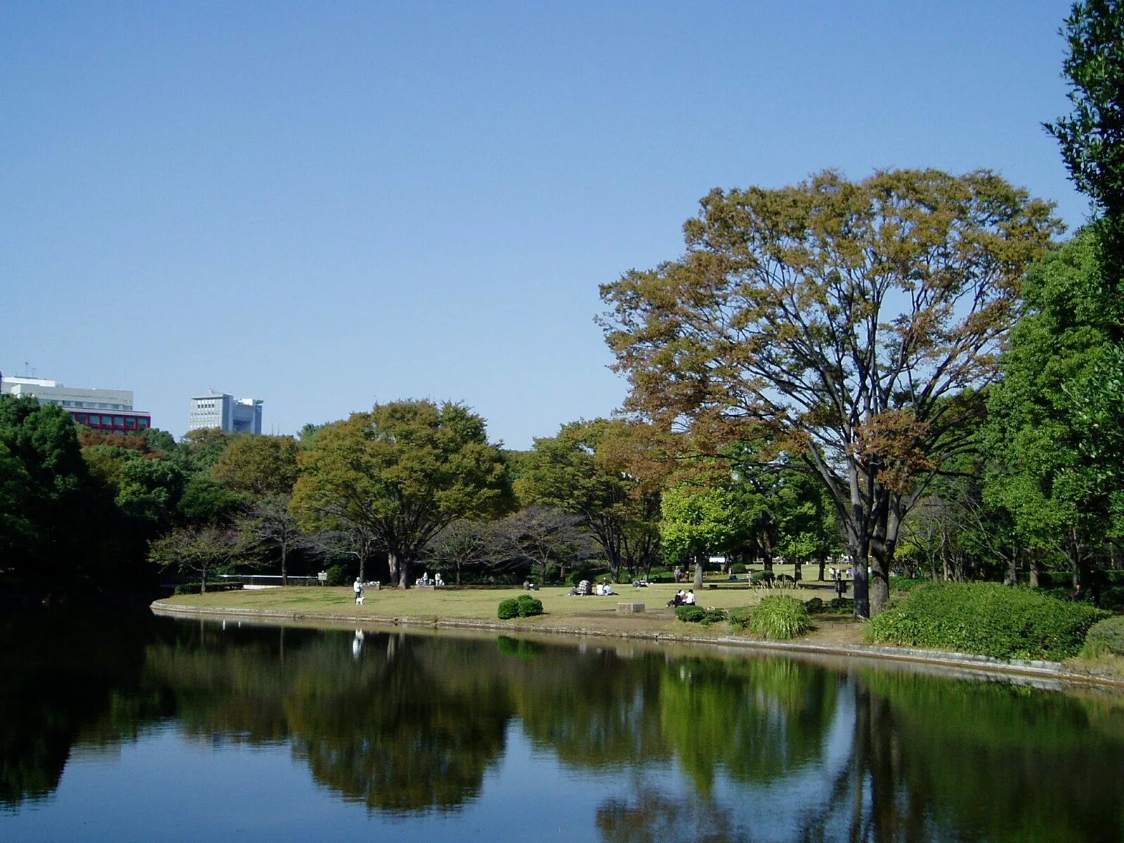 Hibiya Park, Токио (Япония). Большой Токийский парк. Парк Ёёги. Городской парк Токио.