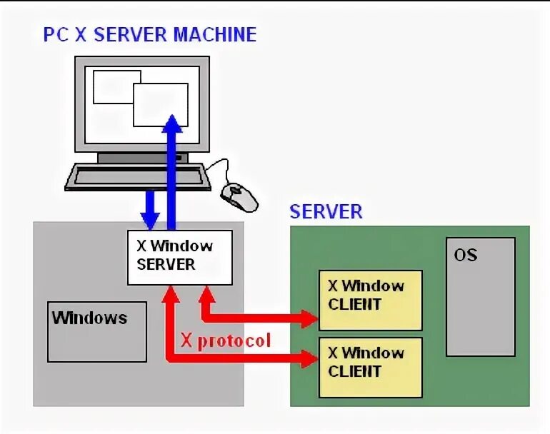 X server x client. X server x client
