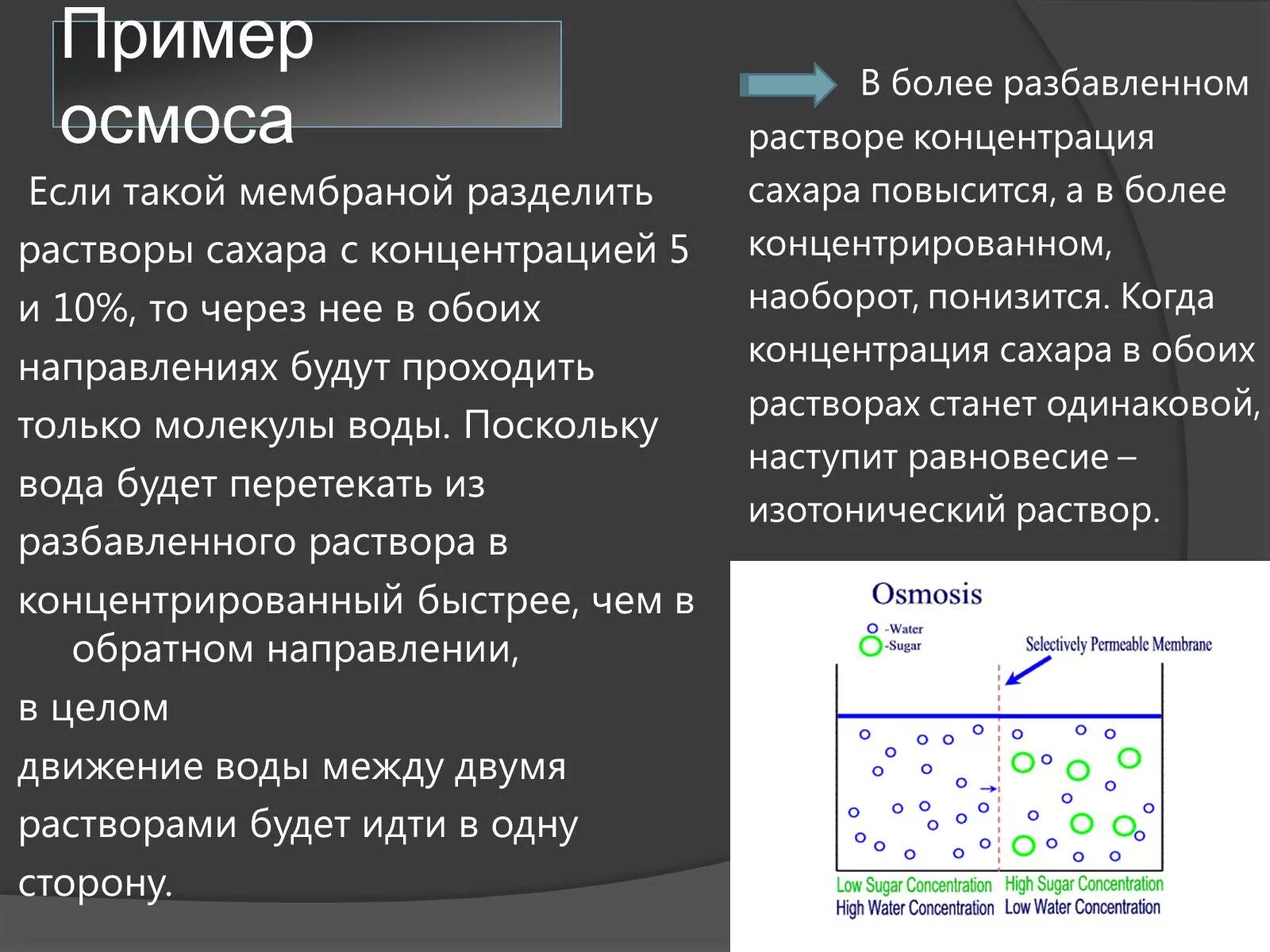 PPT - СКОРОСТЬ ХИМИЧЕСКИХ РЕАКЦИЙ PowerPoint Presentation - ID:7017554