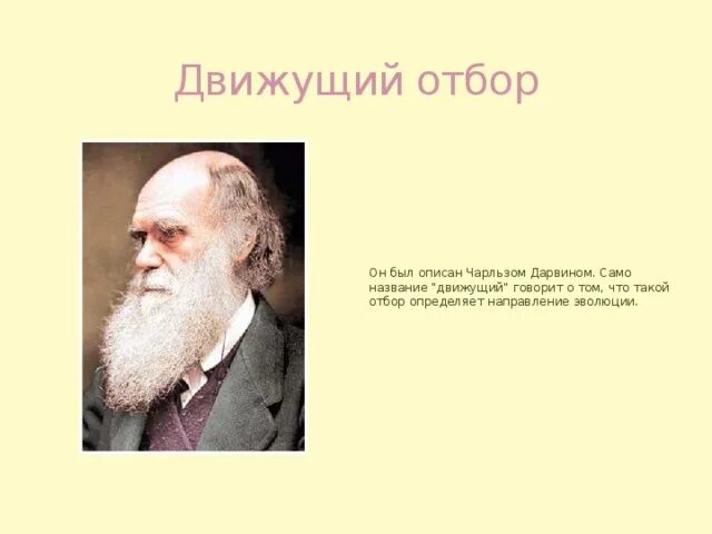 Почему идея полового отбора выдвинутая чарльзом дарвином
