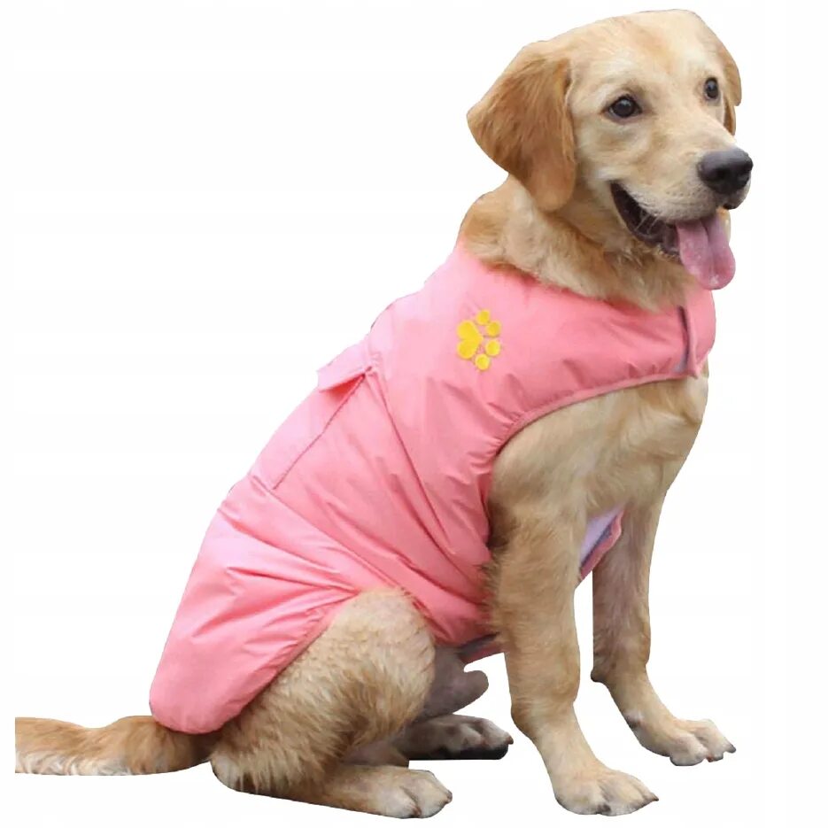 Одежда для больших собак. Костюмы для собачек маленьких. Одежда для собак мелких. Магазины собачьей одежды в ейске. Одежда для собак маленьких пород.