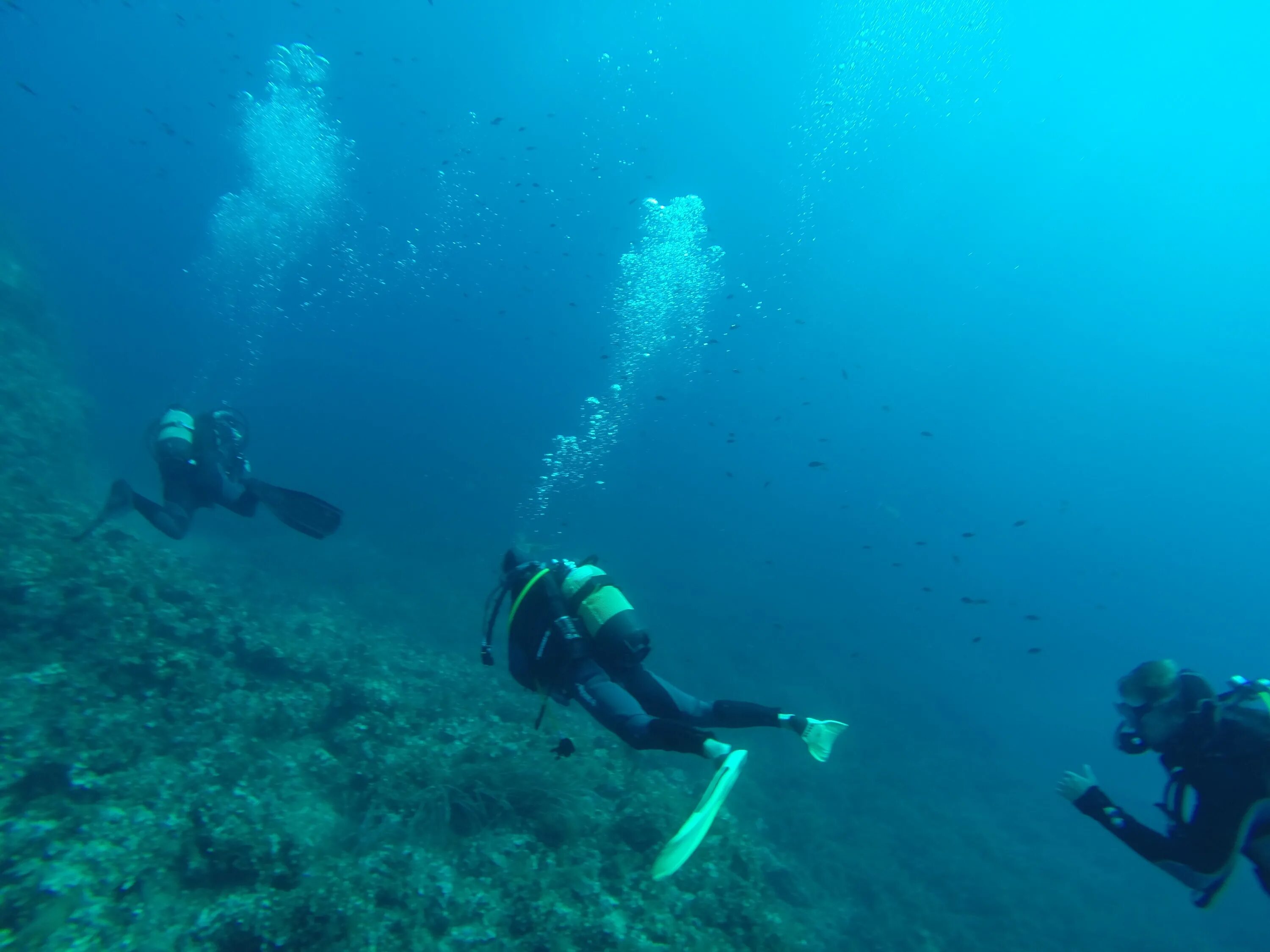 Sea dive. Погружение с аквалангом в черном море. Балтийское море дайвинг. Дайвинг моря дно черного моря. Аквалангист под водой.