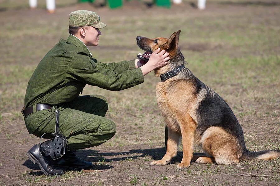 Собаковод