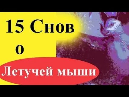 Летучая мышь во сне женщине