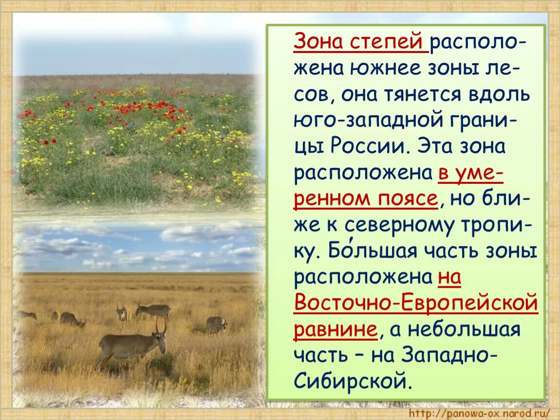 План описания природной зоны степи. Степь презентация. Зона степей 4 класс окружающий мир. Степная зона презентация. Зона степей презентация.