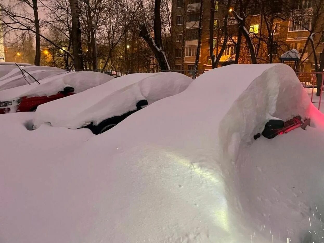 Выпавший снег замело. Москву завалило снегом 2022. Снег в Москве. Много снега в Москве.