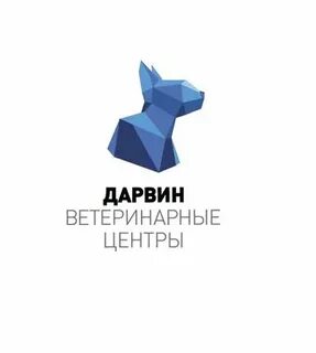 Дарвин ветклиника ульяновск верхняя