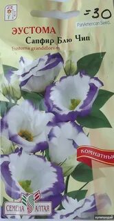 Сапфир блю чип