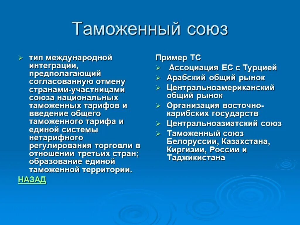 Интеграция 11 класс. Таможенный Союз примеры. Таможенный Союз интеграция. Таможенный Союз и общий рынок. Типы международной интеграции примеры.