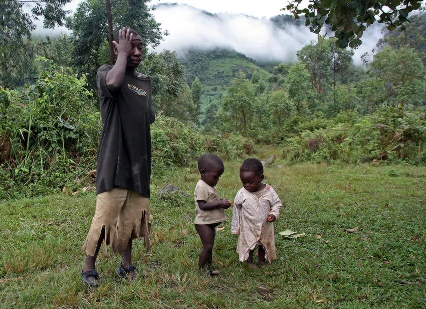 пигмеи народ африки рост. пигмей отзывы. пигмеи конго. пигмеи бака. заповедник джа.