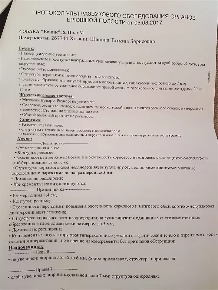 Можно кушать перед узи беременности. УЗИ органов брюшной полости диета. Диета перед УЗИ органов брюшной полости. УЗИ брюшной полости памятка для пациента. Подготовка УЗИ органов брюшной полости взрослому.