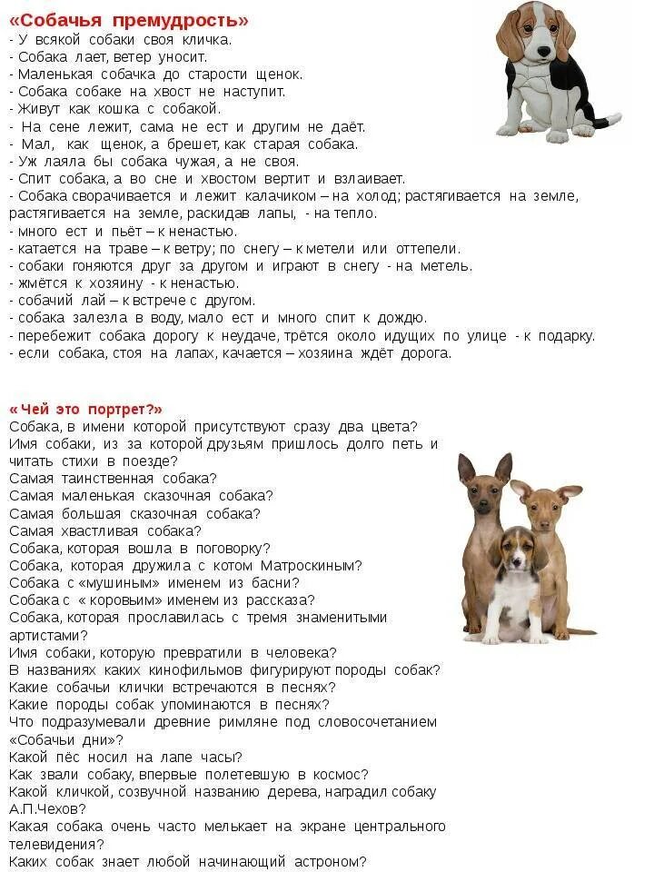 Как звали собачку