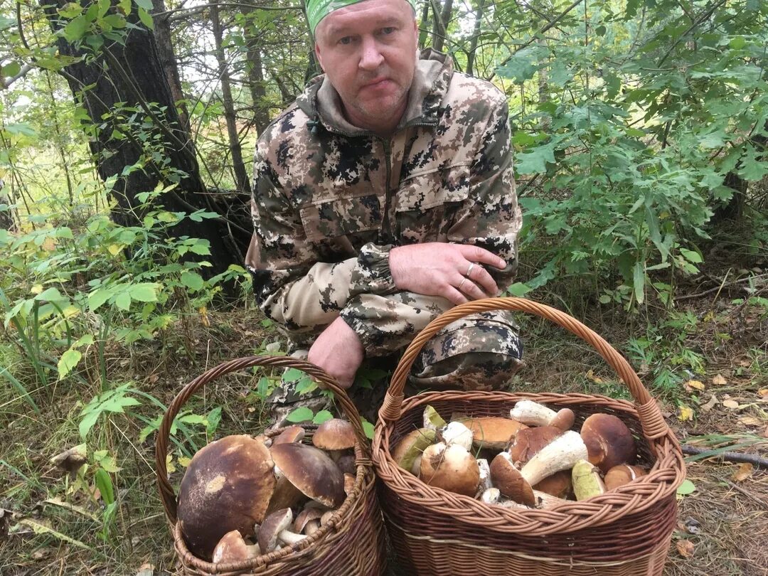 Грибы в дьяковском лесу. Отравление грибами роспотребнадзор. Грибники тамбовской обл. Грибники тамбовской обл. Общество грибников тамбовского.