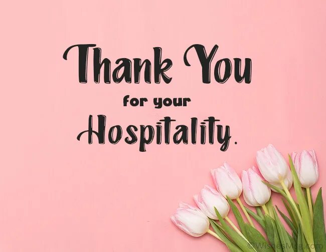 Thanks you are the best. Thank you for your love thank you for the heart. thank you for the party. thank you for reading. thank you for warm words.