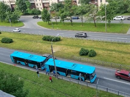 202 автобус спб