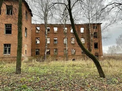 Селиваново ленинградская область