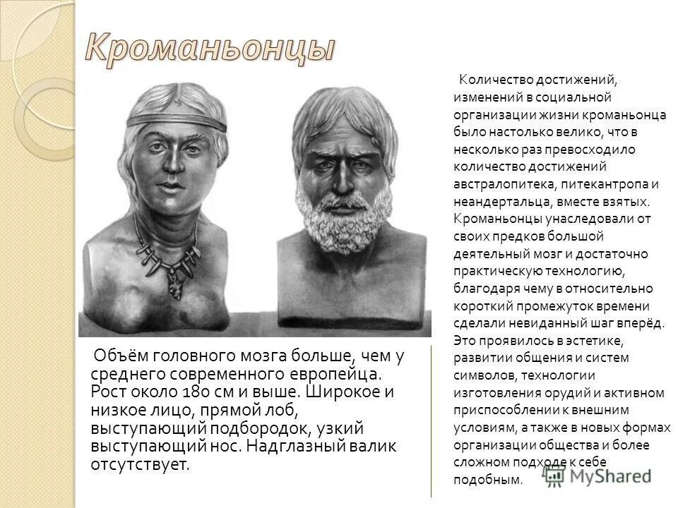 австралопитеки кроманьонцы. пітекантроп австралопитек неандерталец. питекантроп кроманьонец. питекантроп синантроп неандерталец. австралопитеки кроманьонцы.