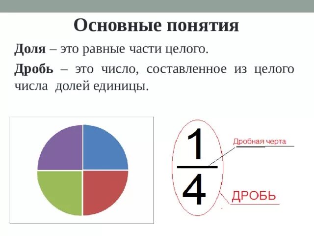 Сколько долей в ооо. Понятие доли и дроби. Доли числа. Доли 3 класс математика.