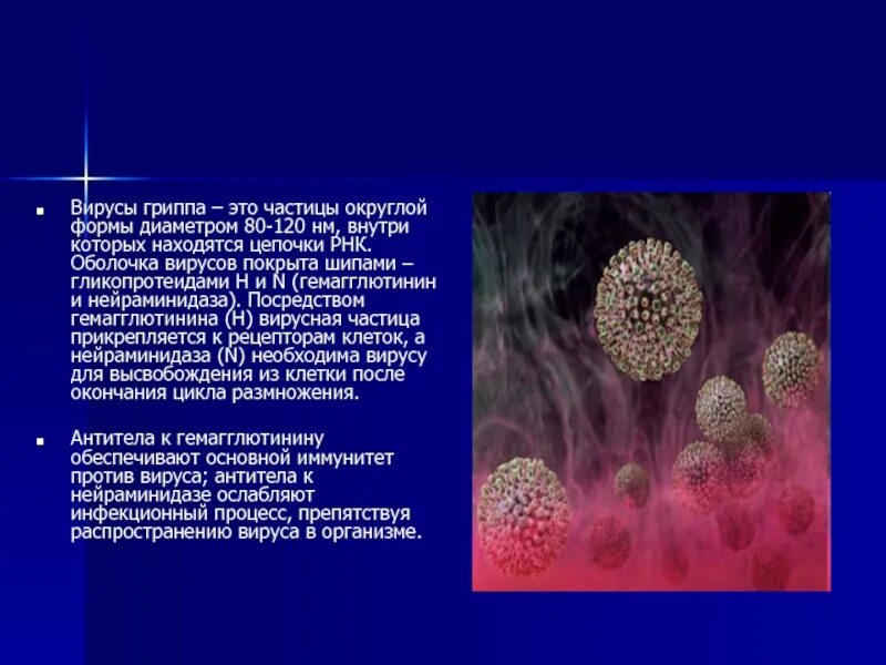 Вирусная оболочка. Защитная оболочка вируса. Вирусная оболочка. Функция нейраминидазы вируса гриппа. Строение простейшего вируса.