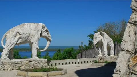 Слон самара