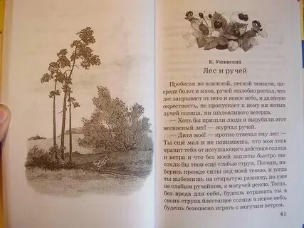 Пробегая по влажной лесной темноте