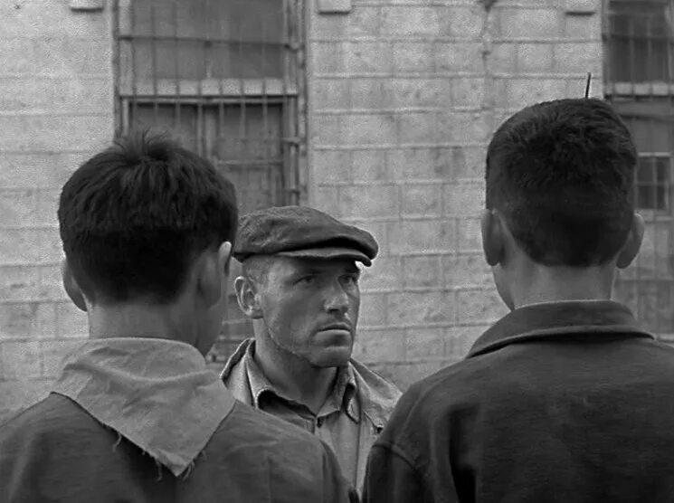 чужая белая и рябой содержание