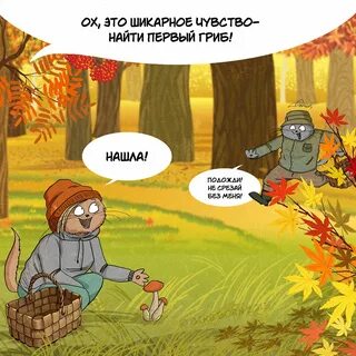 Ищем подожди